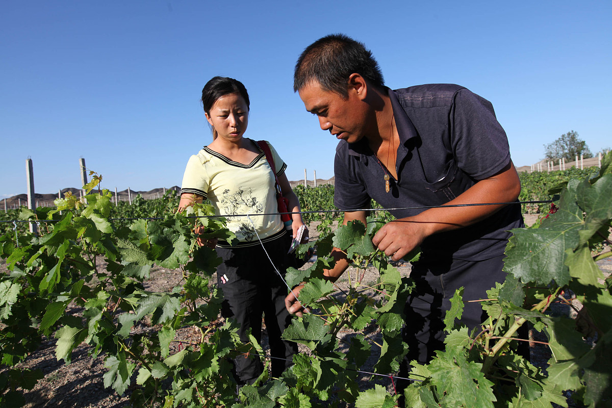 黑龙江农业职业技术学院单招有高铁乘务专业吗？