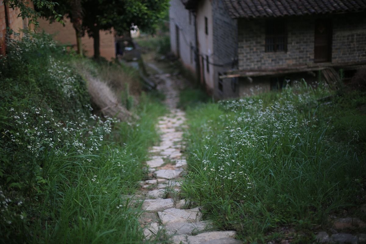 苏州市的义务：责任与发展