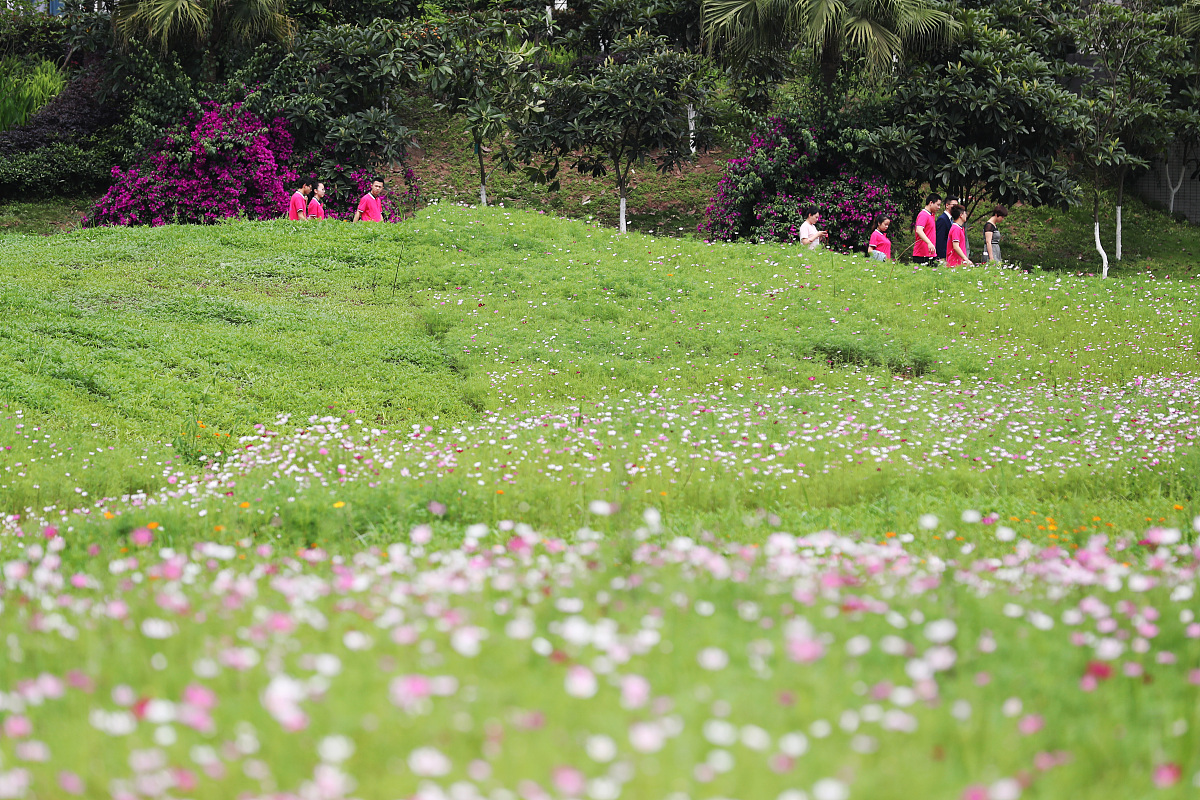 初中男生适合学护理吗？2020年重庆卫校护理专业分析