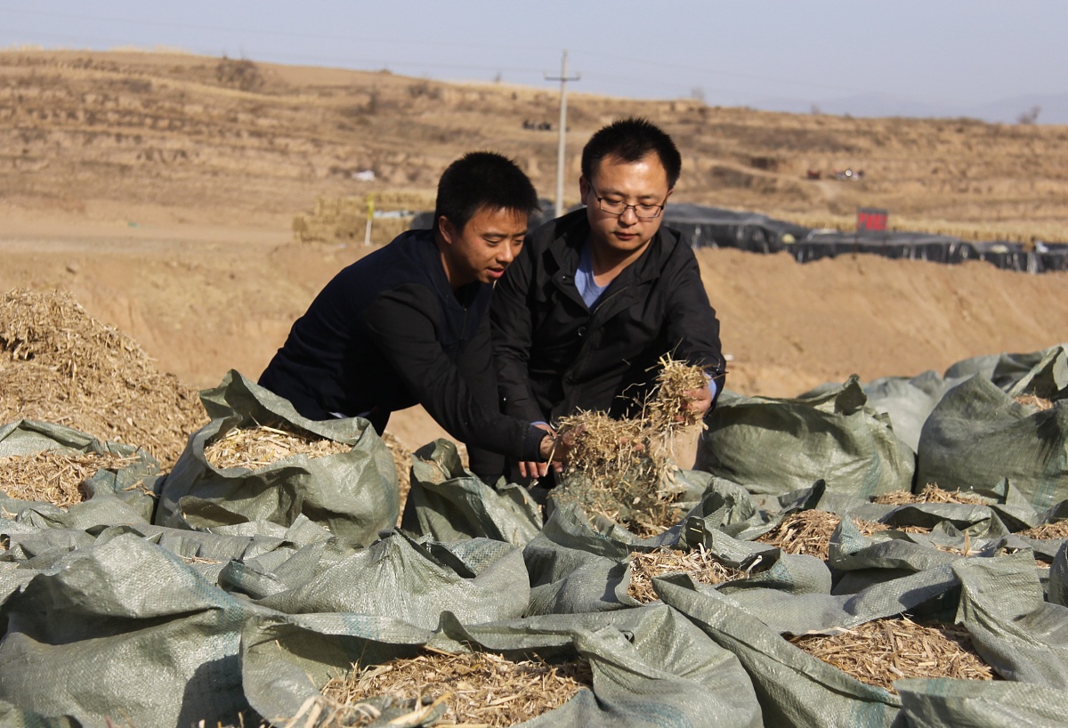 玉米秸秆的含水率