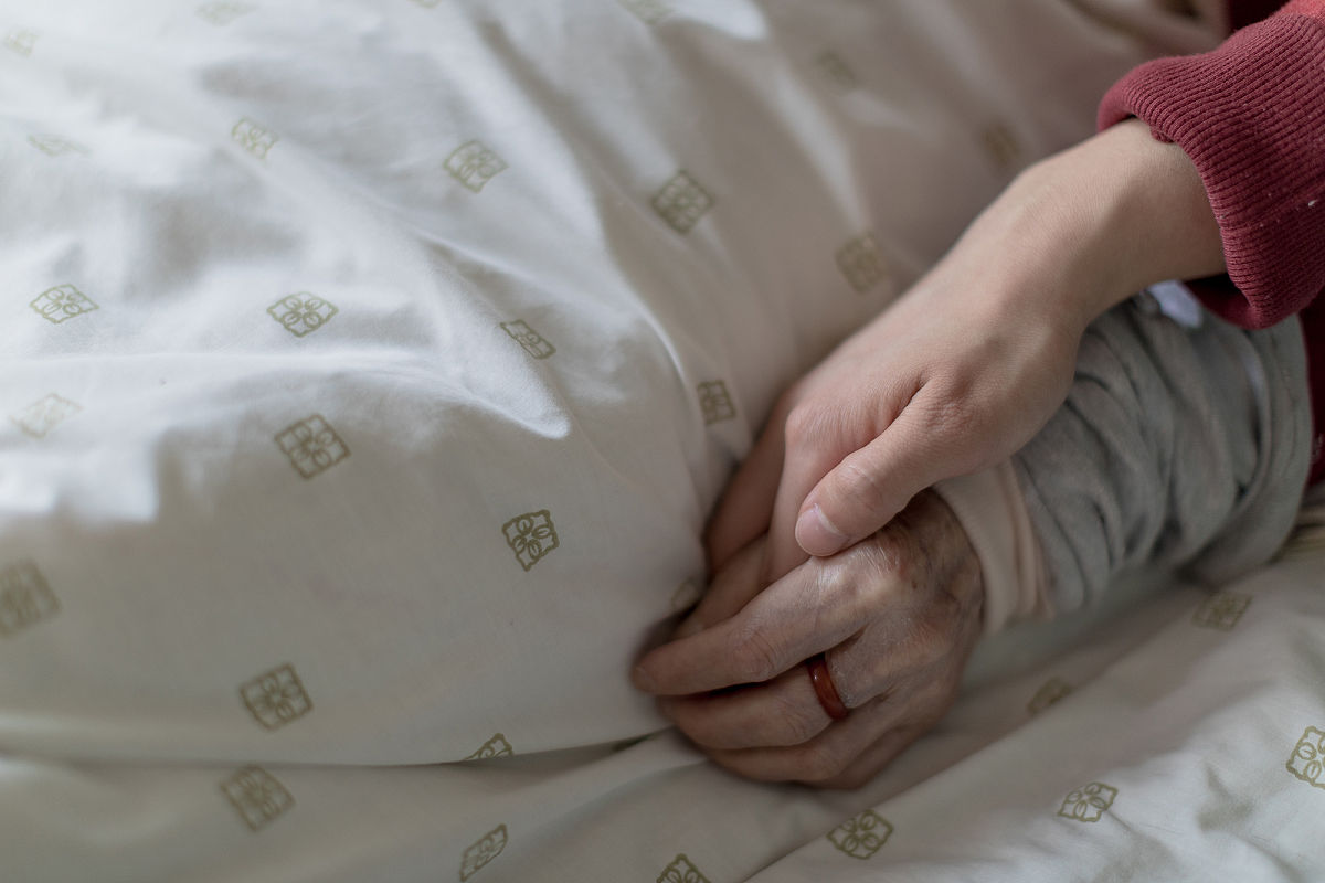 请不少于800汉字的博客文章语言要幽默风趣。主题是：螨虫会咬人吗