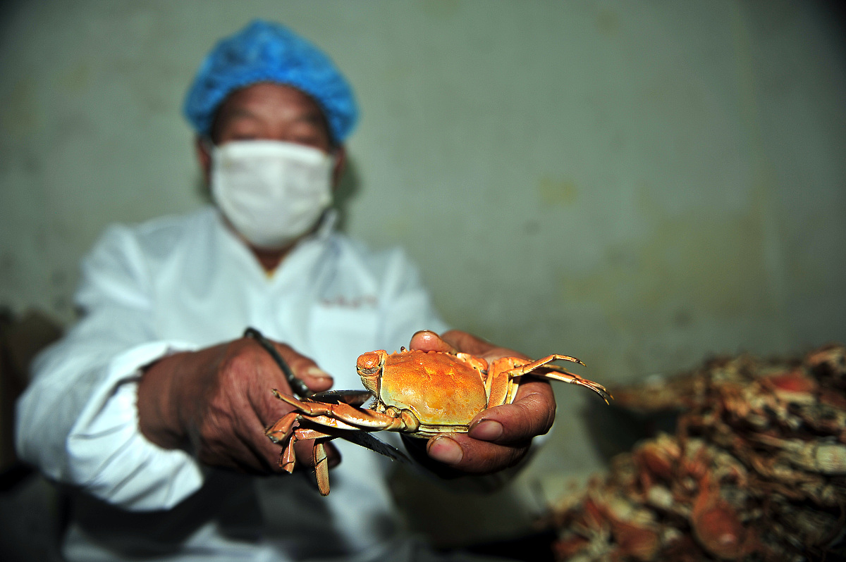 妈妈为我剥螃蟹：一个母亲无私的爱