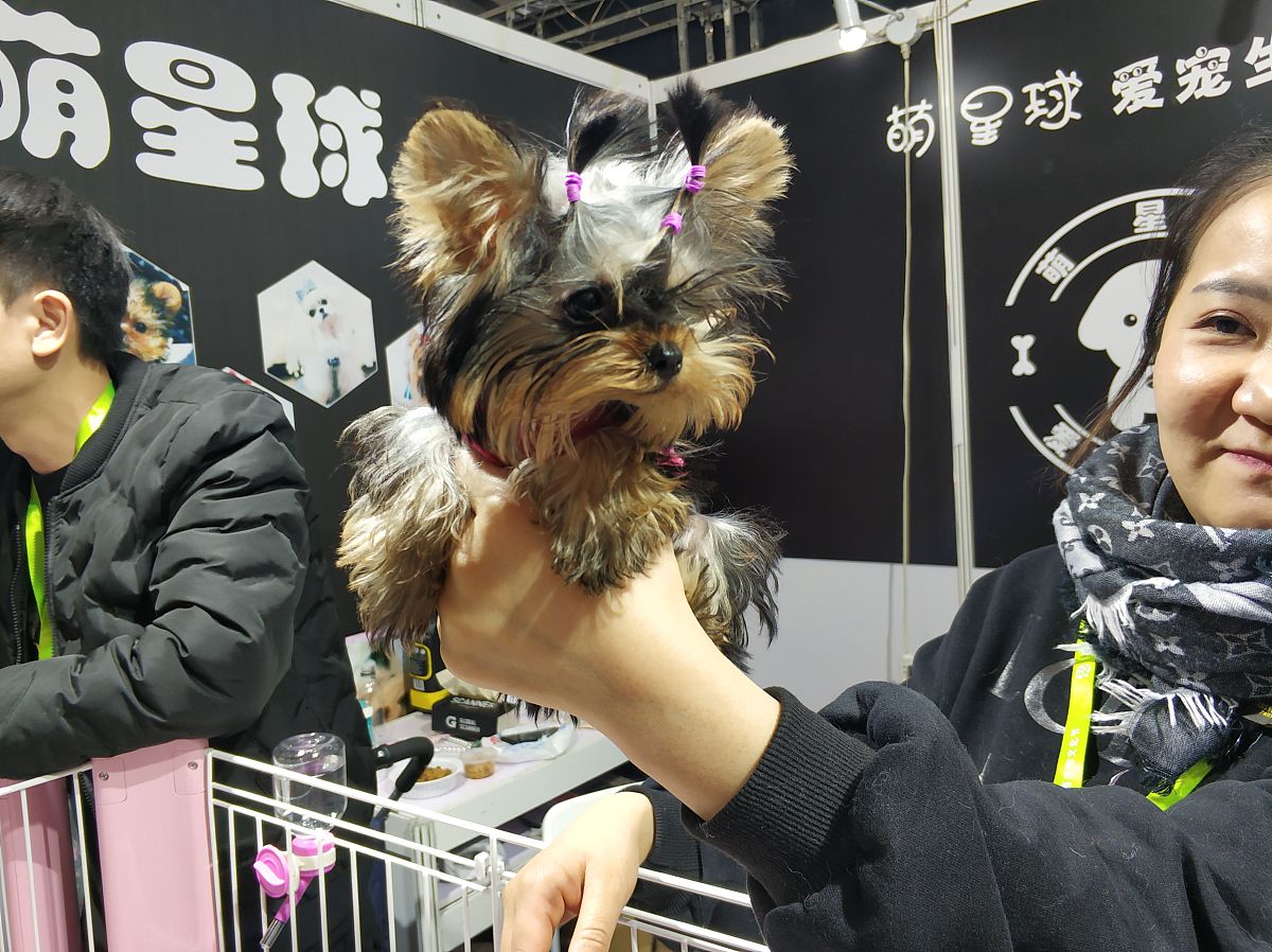 宠物用品行业的营销难点有那些？及其解决办法请详细描述可以举例说明