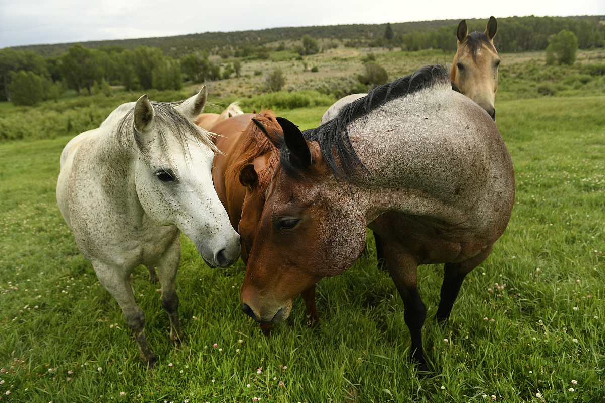 土地评估案例：某城市2020年9月30日土地单价估算