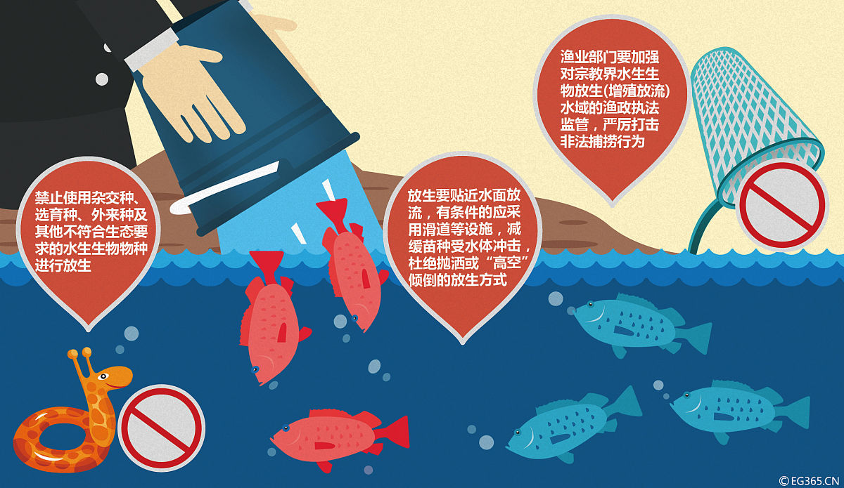 海洋过度捕捞政策规划：投票规则与决策方式