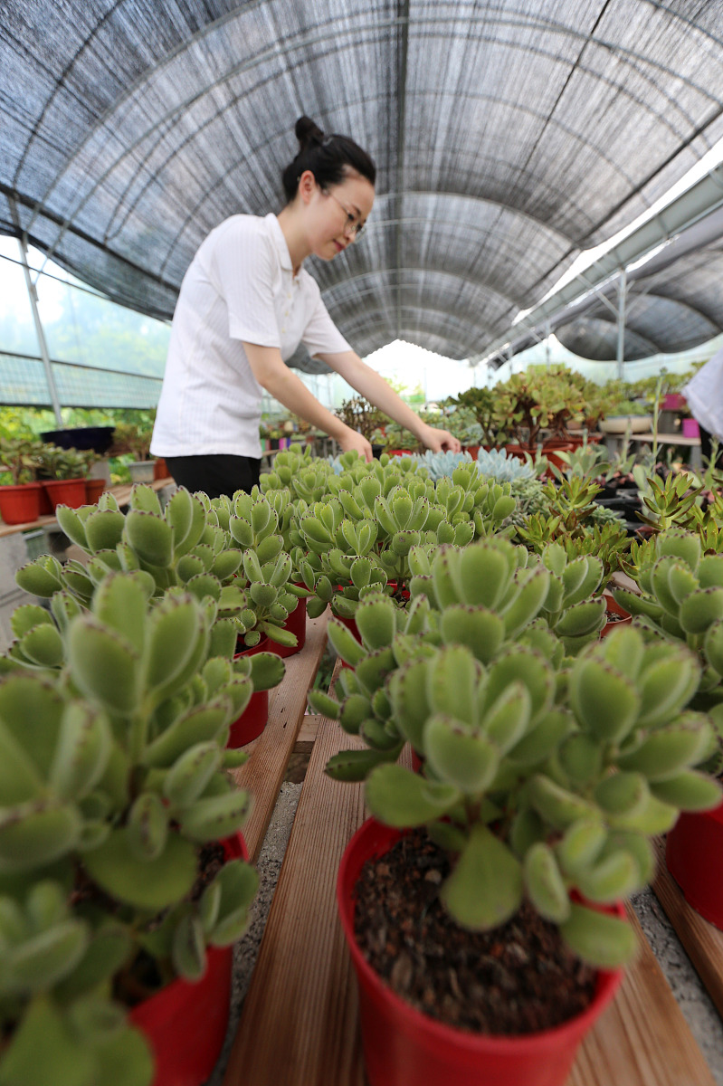 以怎样可以监视老公的微信聊天记录为关键词生成一个标题要求：标题一定要控制在30个字以内标题格式一定要严格按照例子来参考生成。标题格式例子：男朋友怎么哄女孩子睡觉高情商10个哄女朋友睡着的诀窍。