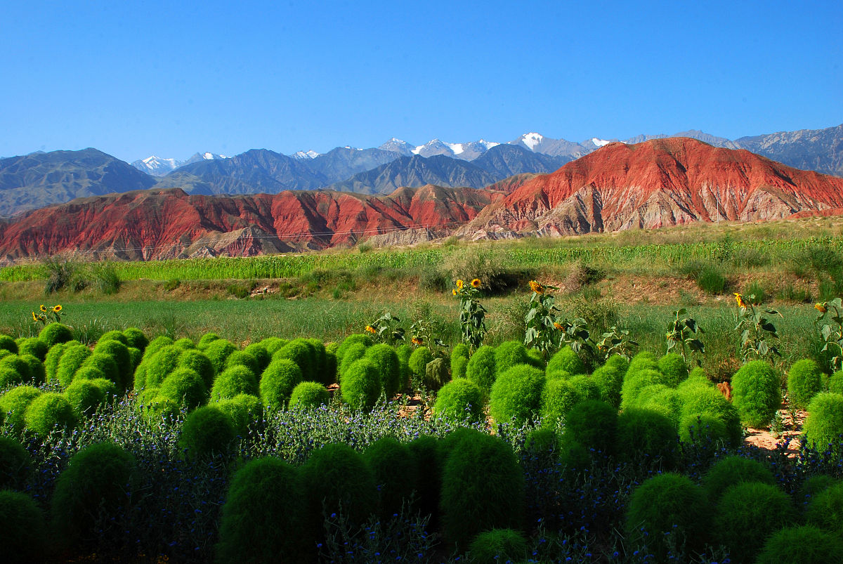 甘肃旅游学校2022年招生简章 - 培养旅游人才，成就未来梦想