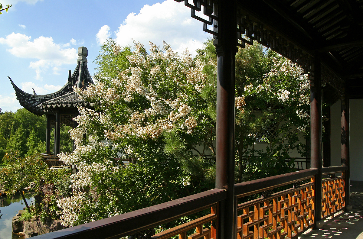 2009年9月,位于纽约的中国园林——寄兴园.***_***纽约的中国园林:寄
