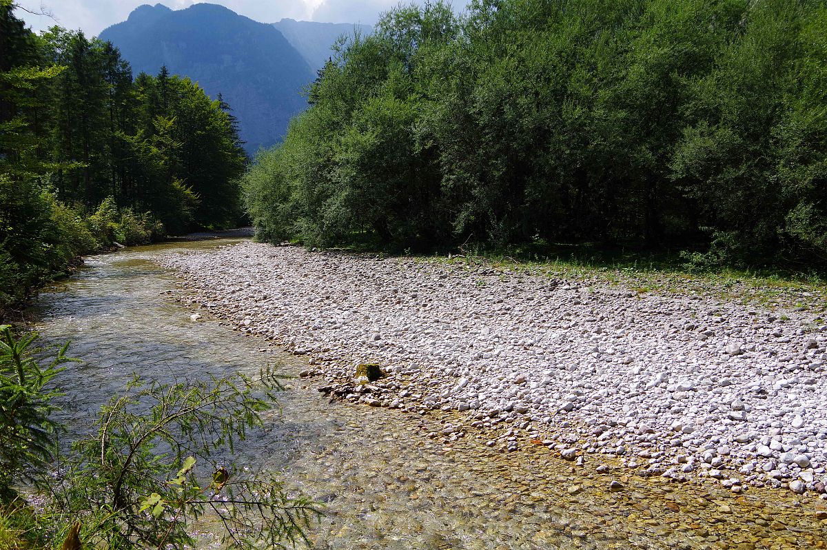 UV 能组成哪些单词？完整列表！