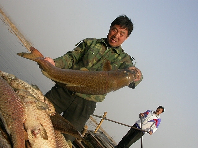舟山航海学校水环境监测与治理专业就业前景怎么样？-专业解读