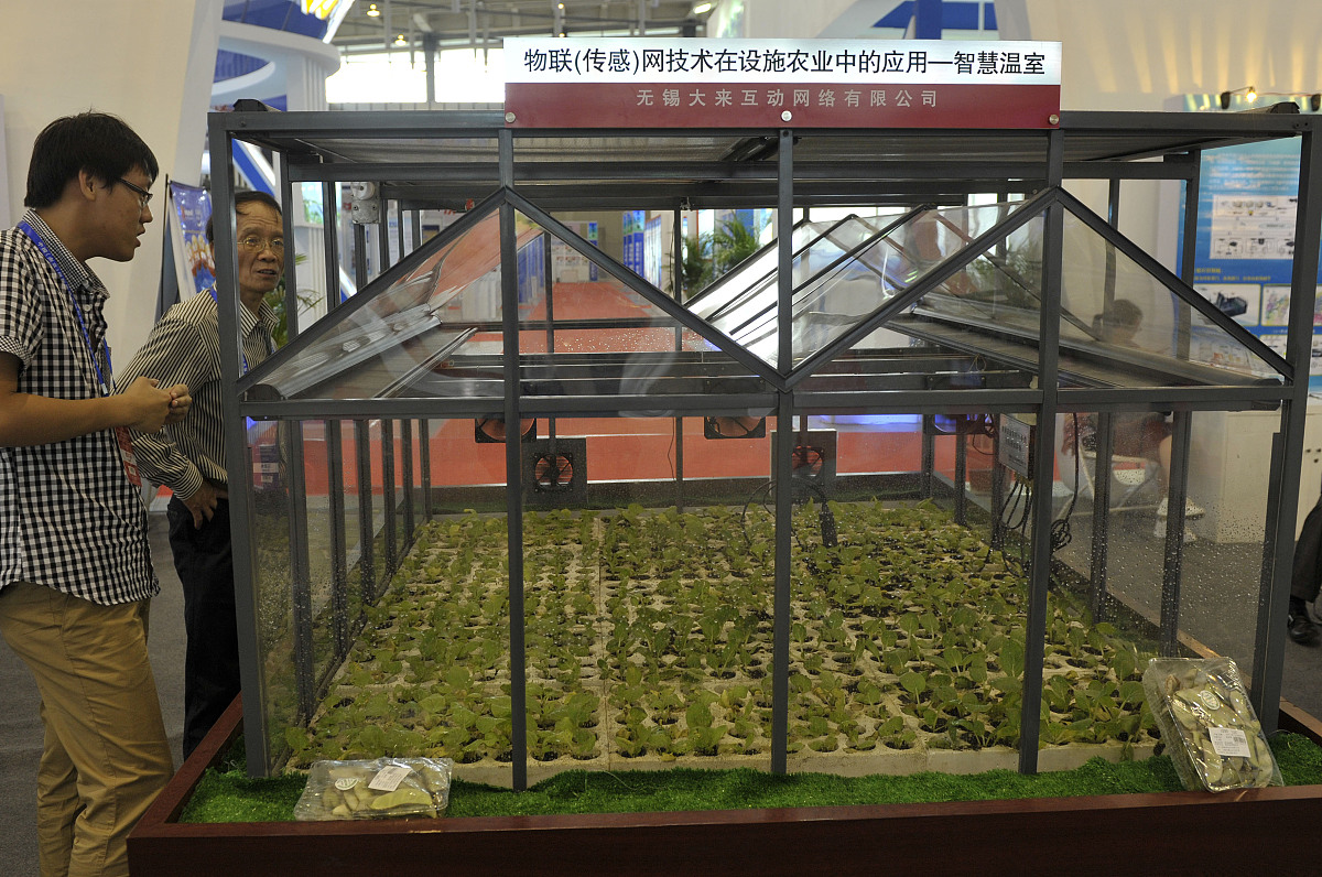 毕节农业学校计算机应用与维护专业：农业信息化人才培养的摇篮