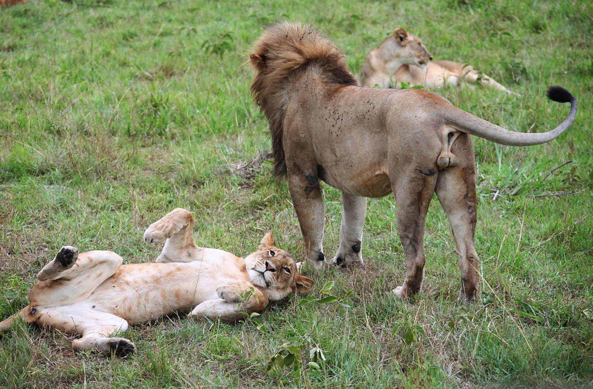贵阳幼师学校招生时对学生的哪些能力有要求 贵阳幼师学校招生时对学生的哪些能力有要求