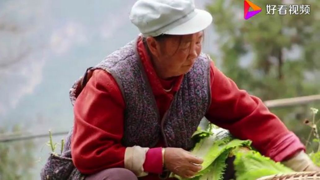 一字不识的农村妈妈60多年经验教你泡云南酸菜,新手都能学会