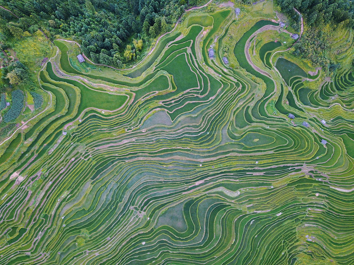 贵州省初中生中专学校推荐：专业、师资、设施全方位解读