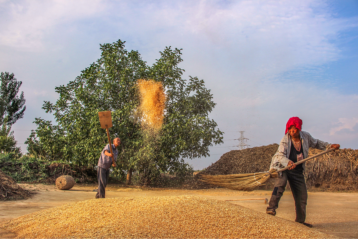 甘肃最佳护理学校排名_2022年甘肃护理学府推荐