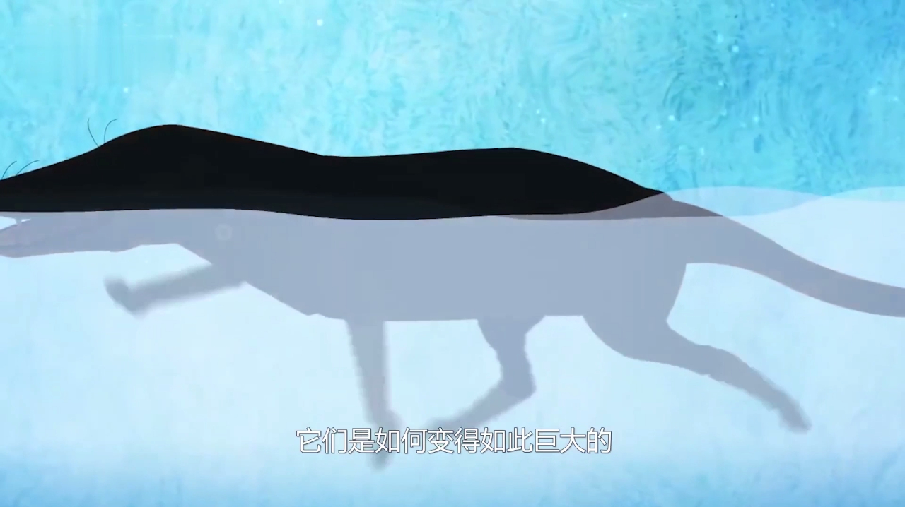 世界上最大的鲸鱼,曾经竟是陆地上的动物?快来看看吧