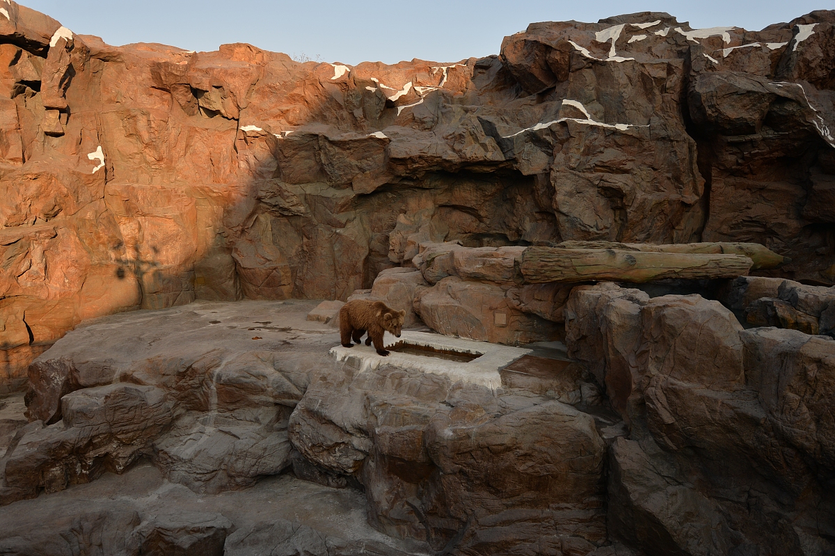 15和18的公倍数有哪些