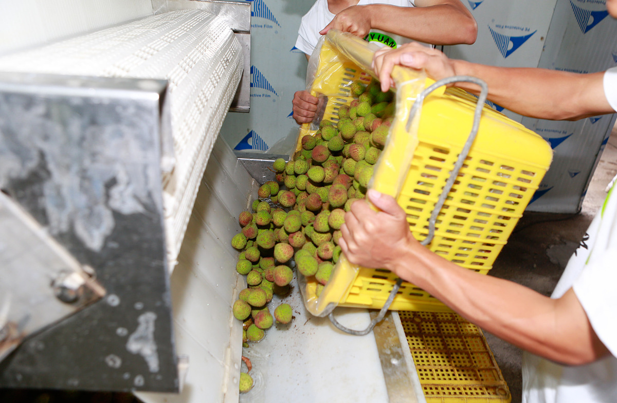 生鲜物流论文方向与选题：冷链、可持续发展及电商挑战