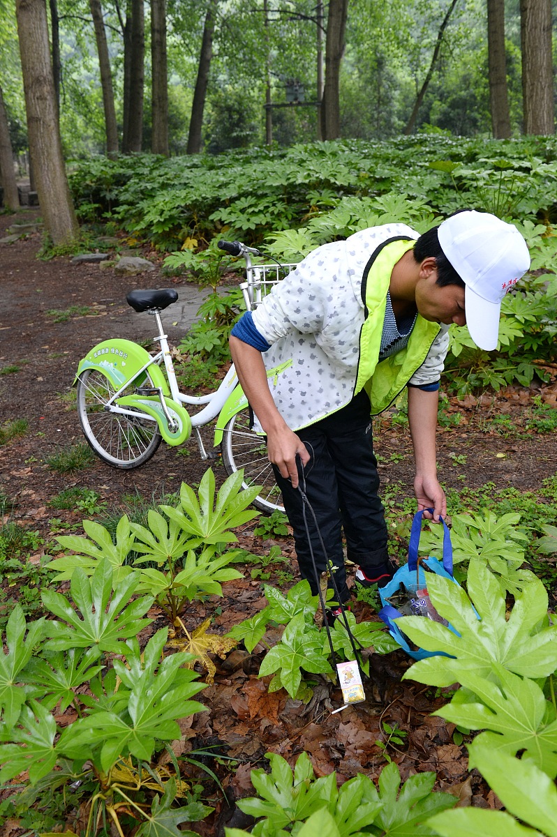 青云汇志愿填报APP：智能匹配，轻松选大学