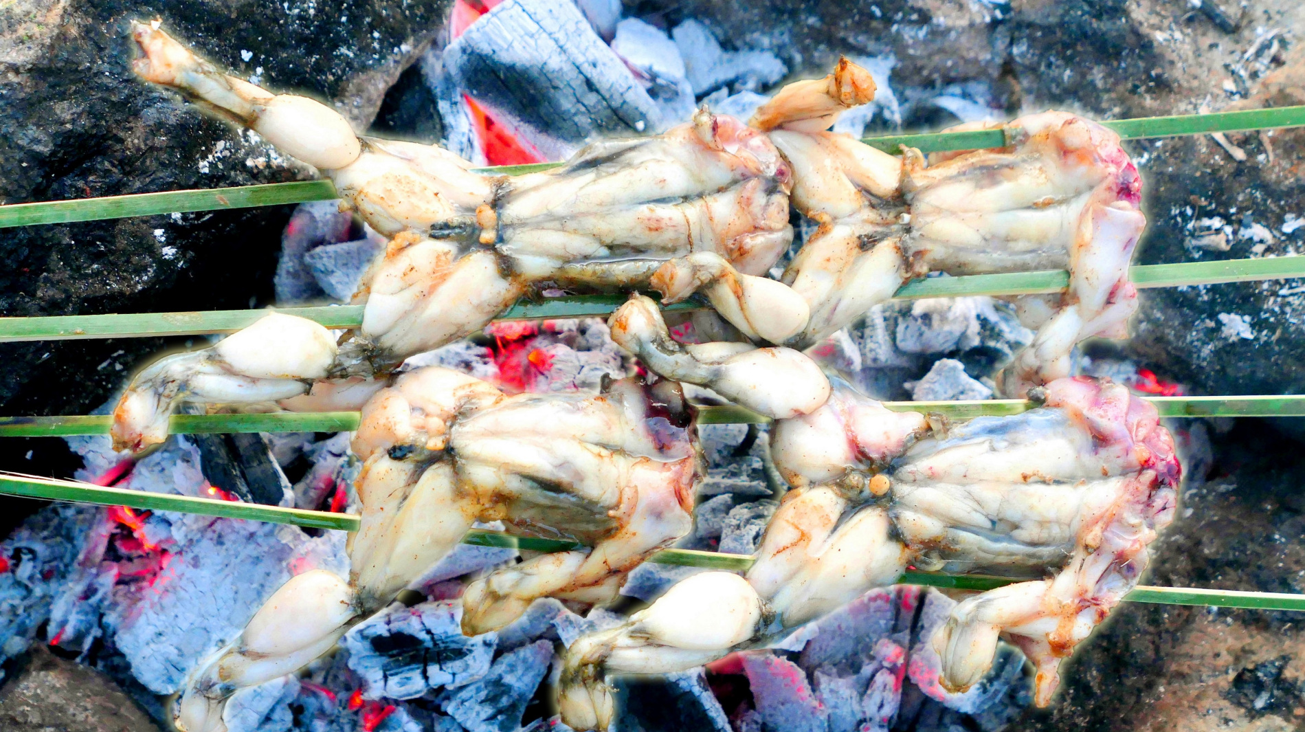 烤田鸡肉质香滑又Q弹,吃过的朋友都赞不绝口,你要来尝尝吗?