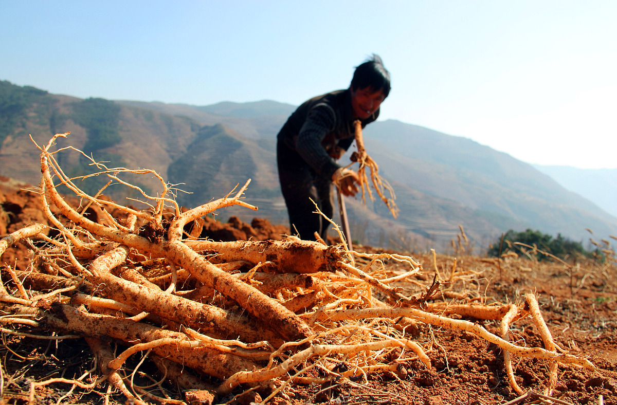 保山中医药高等专科学校药学专业招生