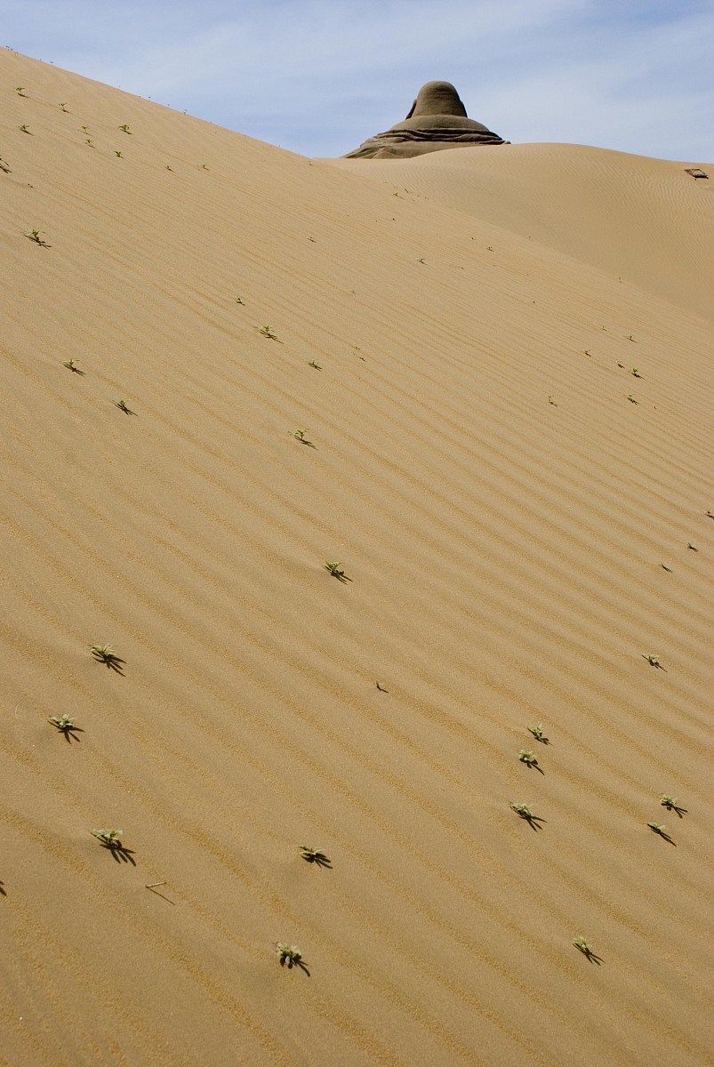 内蒙古初一什么时候开学