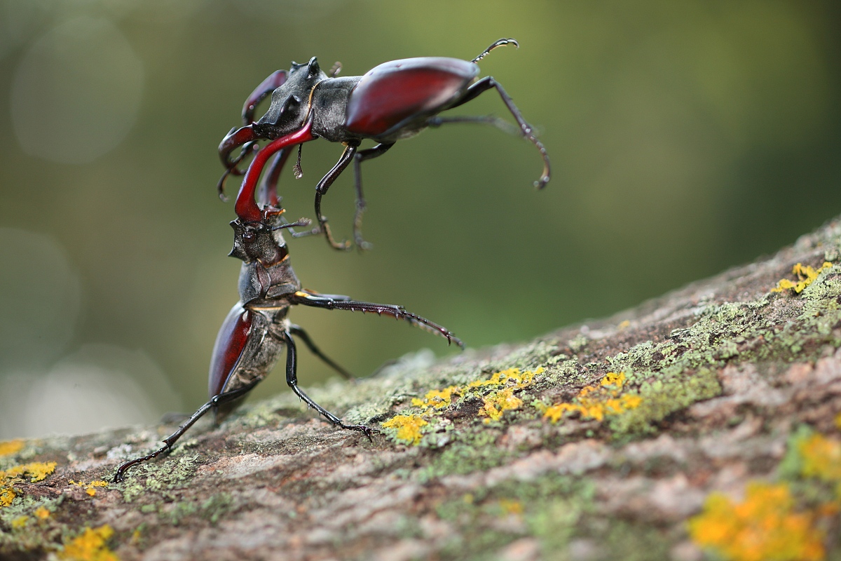 对纪录片初期答辩进行总结对学生安排拍摄计划