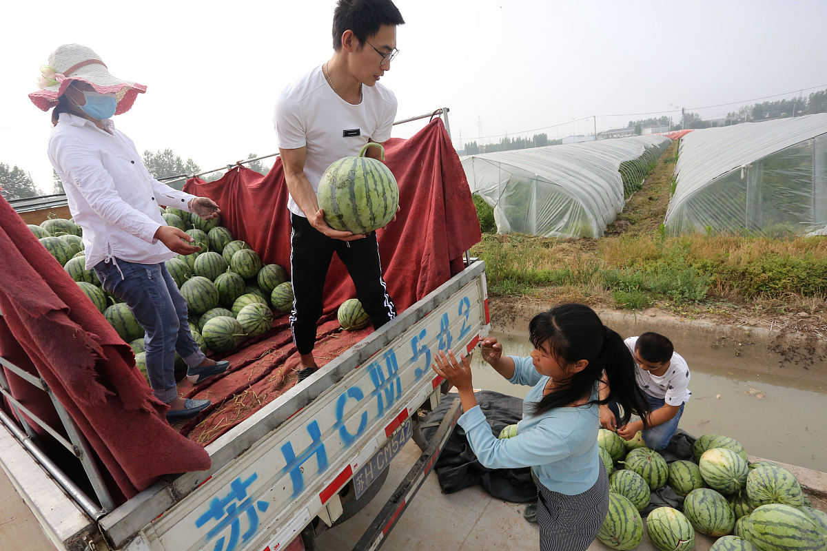 师父说果园最后两个瓜吃不上怎么办？