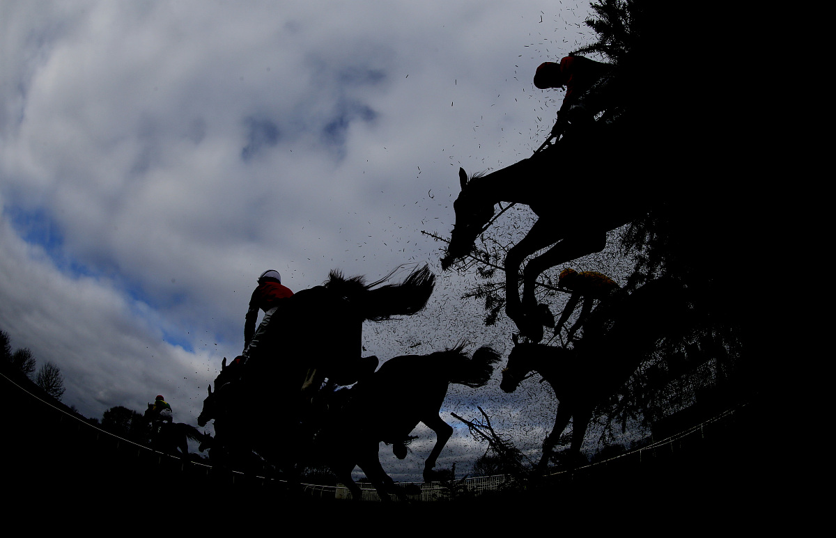 20个超酷冷知识，涨姿势必备！