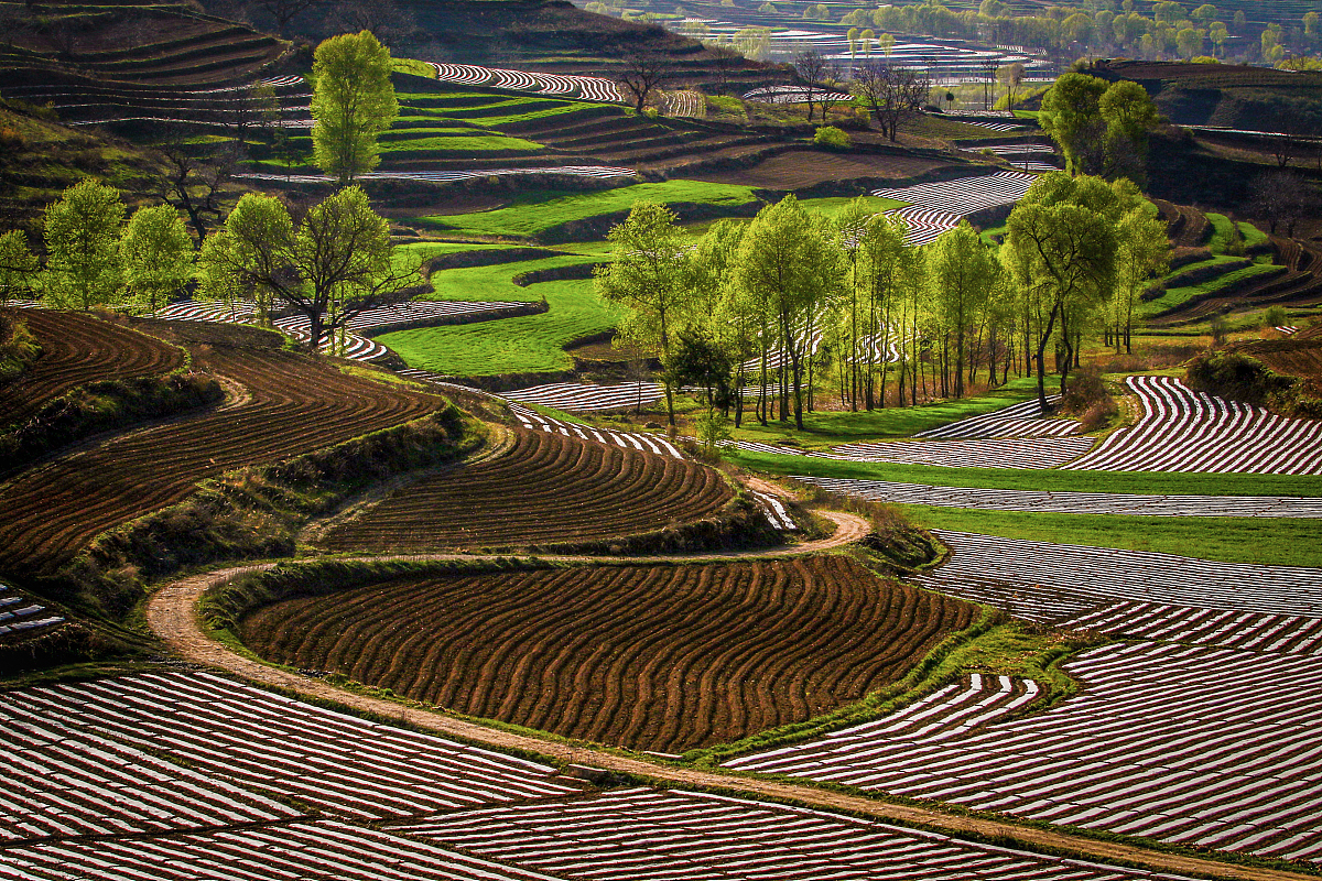 宝鸡高中中专学校用发散性思维