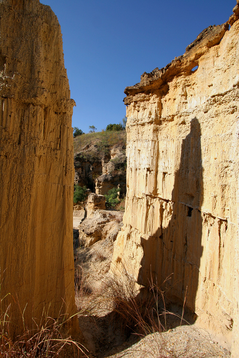选择楚雄州工业学校工程造价专业好不好