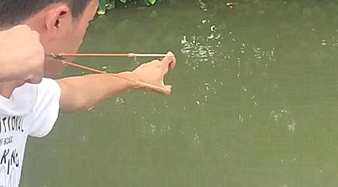 弹弓射鱼镖:他会射鱼,我会吃,你会做“鱼”吗?
