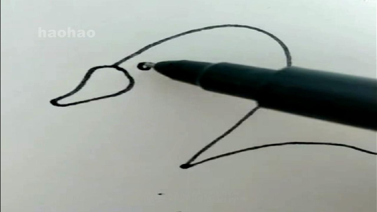 亲子简笔画:水中嬉戏的大白鹅,学会了吗?