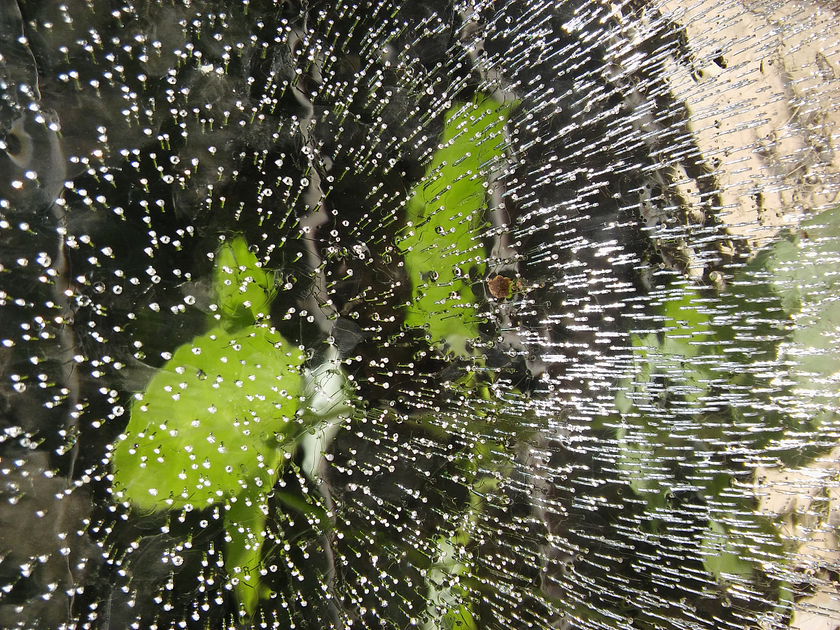 写雨的优美题目