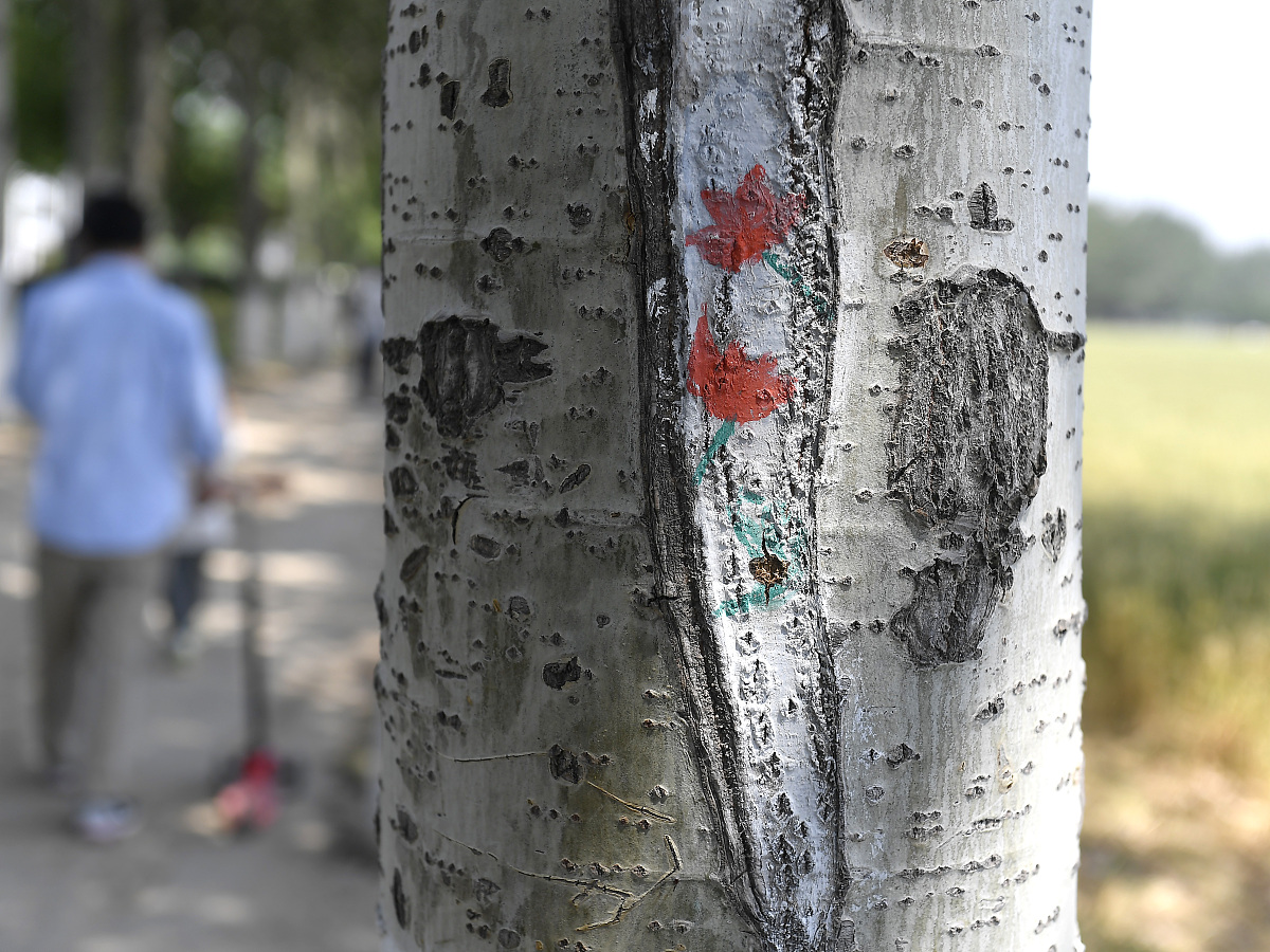 付费聊天倾诉平台推荐：寻找你的倾诉出口 |  心理咨询服务合集