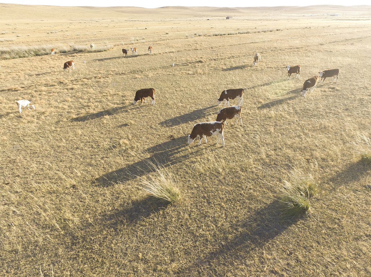 内蒙古通辽市老百姓如何向媒体求助？