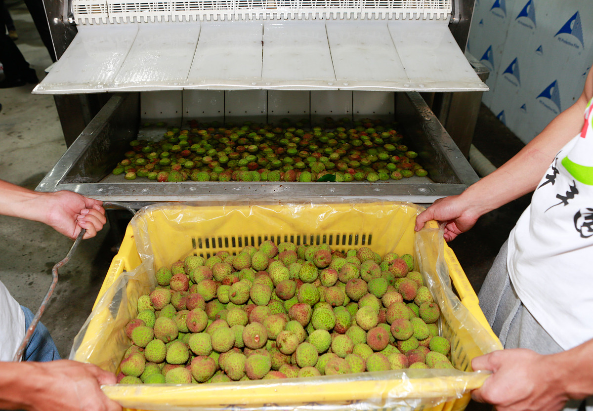 茂名市体育运动学校2022年招生简章