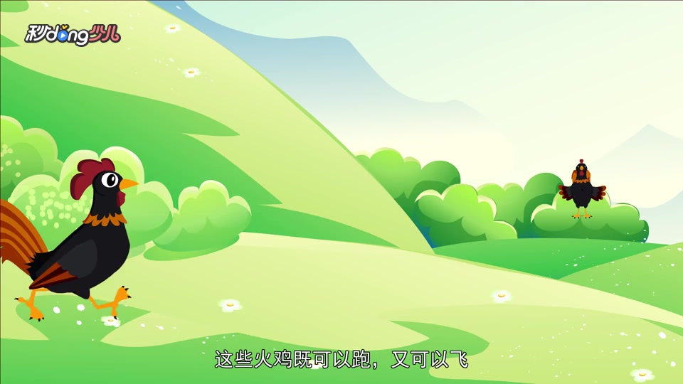 火鸡也会飞