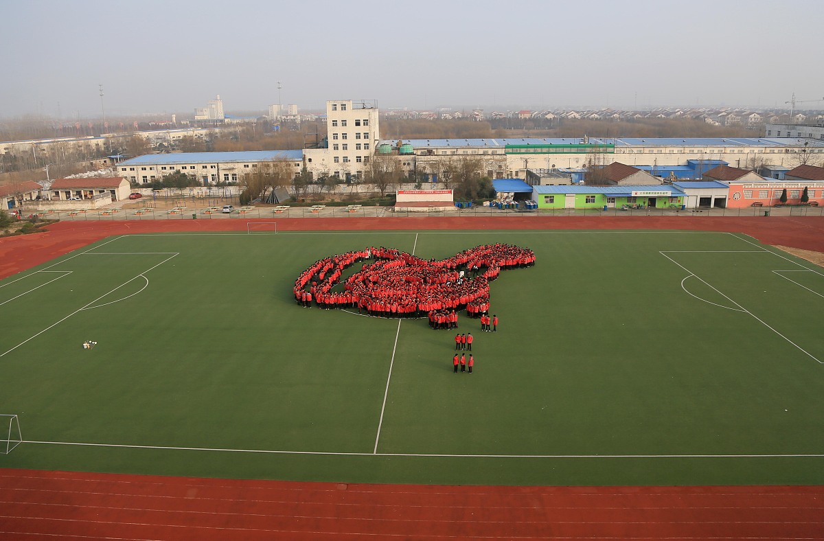 安阳市体育运动学校怎么样