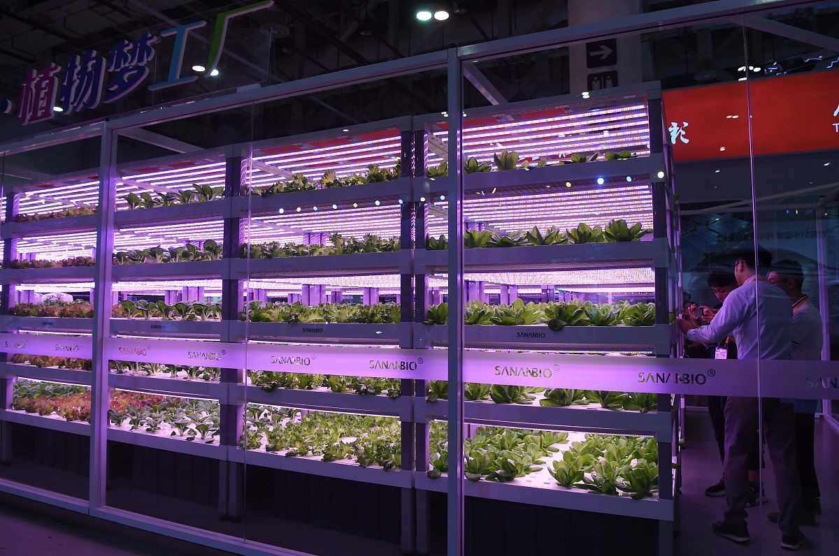 林隙对植物的影响