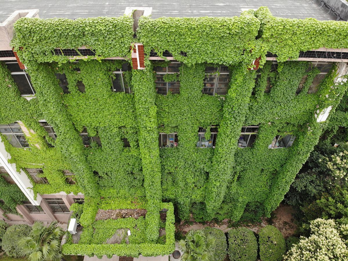 大学生创新案例分析：垂直农场如何解决城市农业问题