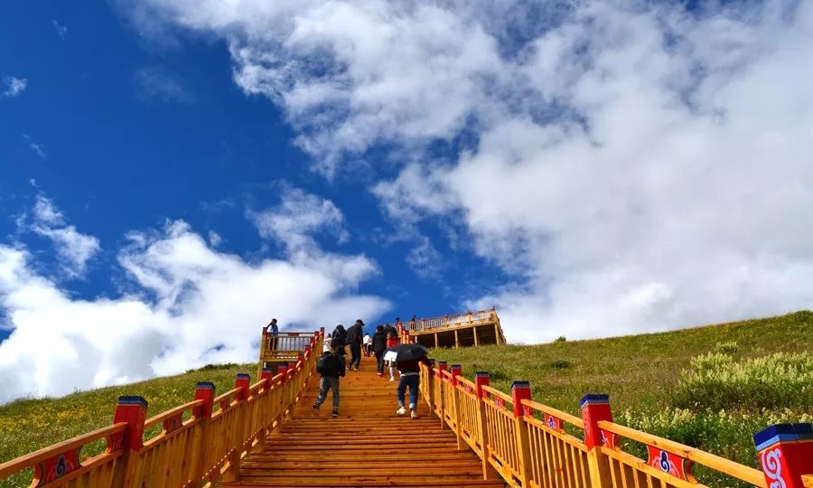 避暑游花海!木雅圣地7月媒体采风,品尝藏式美食集锦!