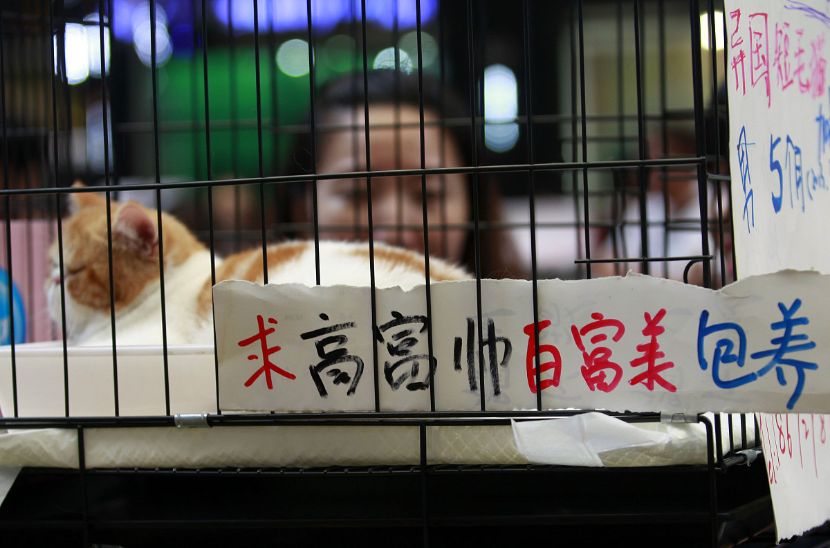 ‘把我一半踹你口袋里’是什么意思？流行语解析