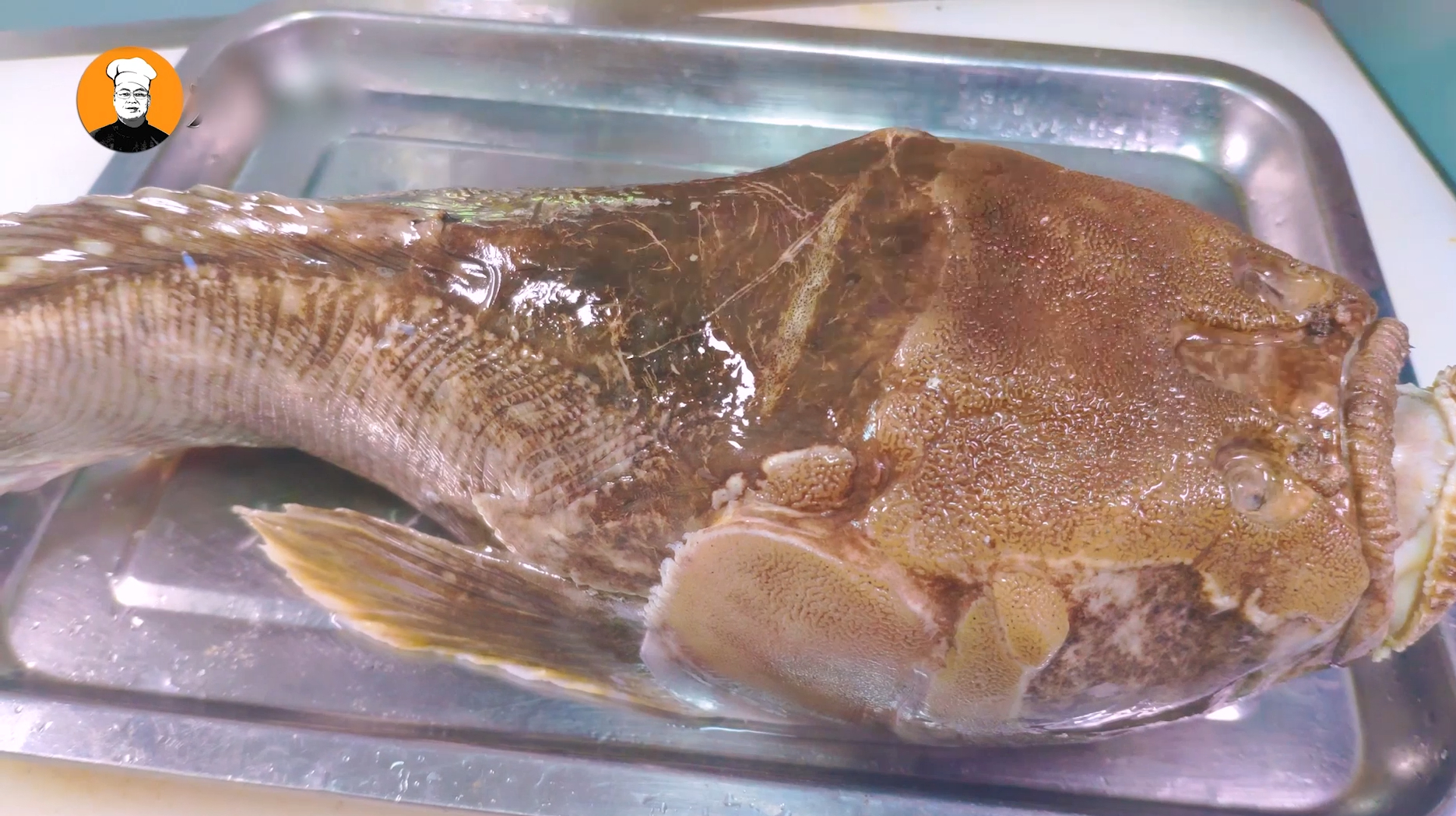 老刘烹饪“香辣烤虎头鱼”,长相丑陋吓人,味道却出奇的鲜!