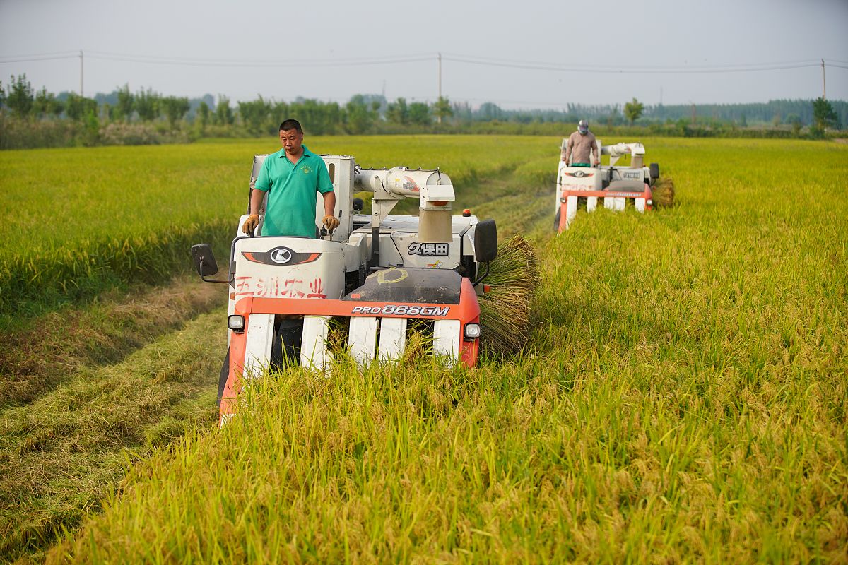 曲靖农业学校2019年五年制普通大专招生报名