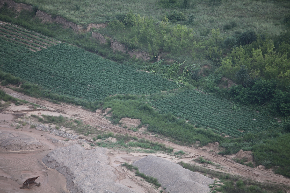 黄河阶地的地质构造类型