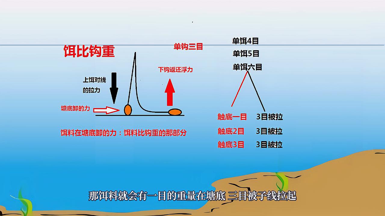 拉饵钓鲫该怎么调漂?动图详解调几钓几,自带状态稳定的野外玩法