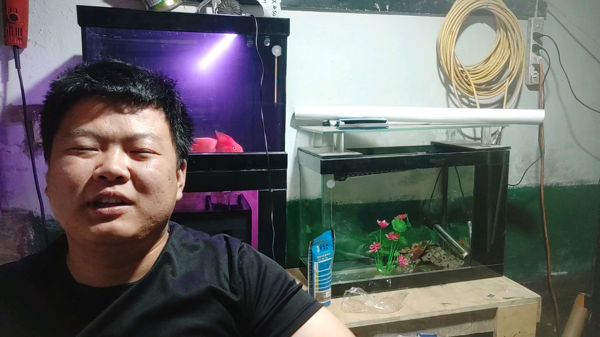 冷水鱼可以和热带鱼一起养吗?