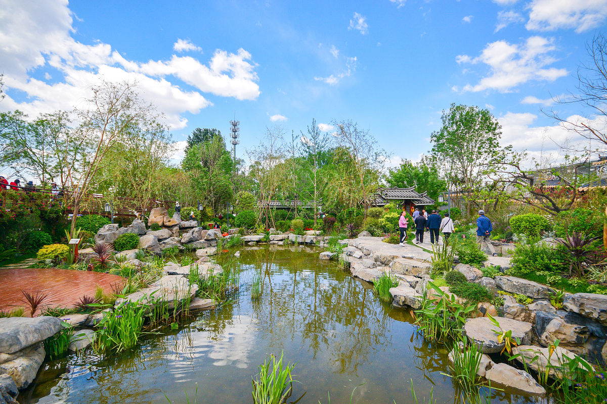 西安市兴庆公园乡土植物应用调查：从调查过程、内容到结果