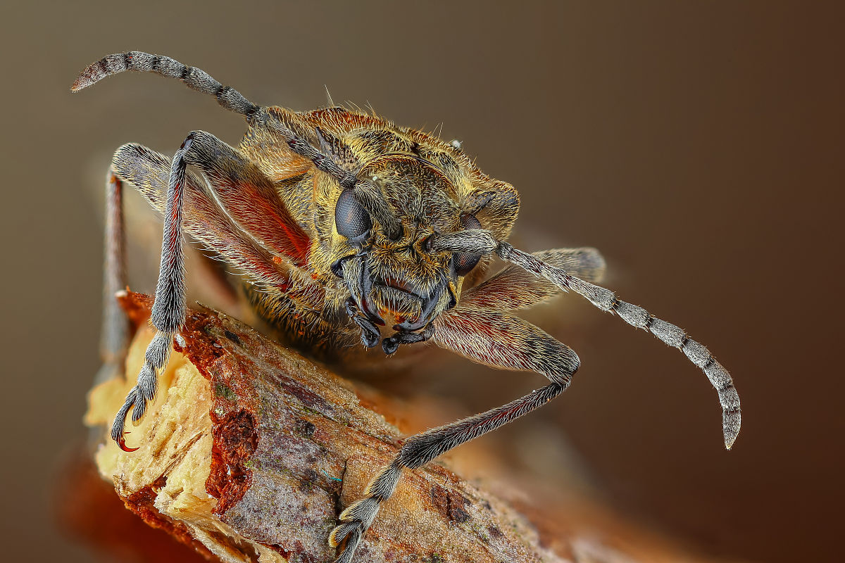 厦门2023新中考男生选专业指南：物理、生物、政治学哪个好？